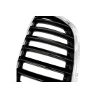 2 Grilles de Radiateur Pour BMW X5 E53 51137124815 51138250051