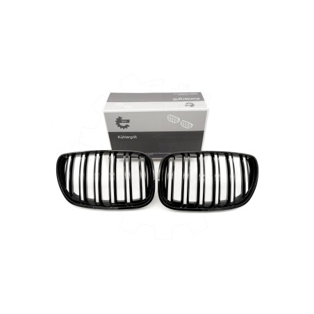 2 Grilles de Radiateur Pour BMW X5 E53 51137124815 51138250051