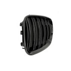 2 Grilles de Radiateur Pour BMW X5 E53 51137124815 51138250051