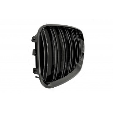 2 Grilles de Radiateur Pour BMW X5 E53 51137124815 51138250051
