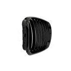2 Grilles de Radiateur Pour BMW X5 E53 51137113733 51138402645