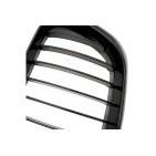 2 Grilles de Radiateur Pour BMW X5 E53 51137113733 51138402645