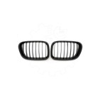 2 Grilles de Radiateur Pour BMW X5 E53 51137113733 51138402645