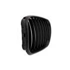 2 Grilles de Radiateur Pour BMW X5 E53 51137113733 51138402645