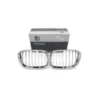2 Grilles de Radiateur Pour BMW X5 E53 51137113733 51138402645
