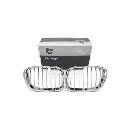 2 Grilles de Radiateur Pour BMW X5 E53 51137113733 51138402645