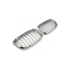 2 Grilles de Radiateur Pour BMW X5 E53 51137113733 51138402645
