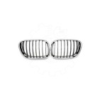 2 Grilles de Radiateur Pour BMW X5 E53 51137113733 51138402645
