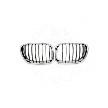2 Grilles de Radiateur Pour BMW X5 E53 51137113733 51138402645