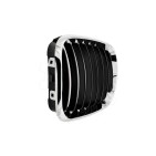 2 Grilles de Radiateur Pour BMW X5 E53 51137113733 51138402645