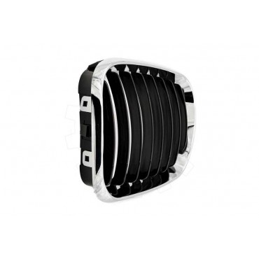 2 Grilles de Radiateur Pour BMW X5 E53 51137113733 51138402645