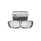 2 Grilles de Radiateur Pour BMW X5 E53 51137113733 51138402645