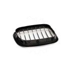 2 Grilles de Radiateur Pour BMW X5 E53 51137113733 51138402645