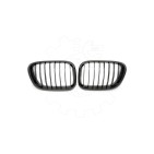2 Grilles de Radiateur Pour BMW X5 E53 51137113733 51138402645