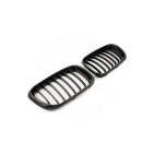 2 Grilles de Radiateur Pour BMW X5 E53 51137113733 51138402645