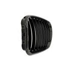 2 Grilles de Radiateur Pour BMW X5 E53 51137113733 51138402645