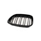 2 Grilles de Radiateur Pour BMW X5 E53 51137113733 51138402645