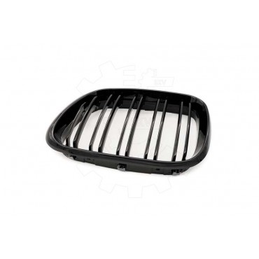 2 Grilles de Radiateur Pour BMW X5 E53 51137113733 51138402645