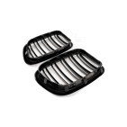 2 Grilles de Radiateur Pour BMW X5 E53 51137113733 51138402645