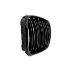 2 Grilles de Radiateur Pour BMW X5 E53 51137113733 51138402645