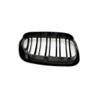 2 Grilles de Radiateur Pour BMW X5 E53 51137113733 51138402645
