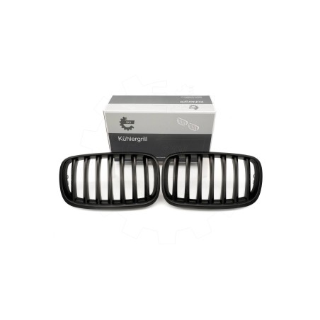 2 Grilles de Radiateur Pour BMW X5 E70 51712150246