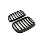 2 Grilles de Radiateur Pour BMW X5 E70 51712150246