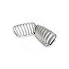 2 Grilles de Radiateur Pour BMW X5 E70 51712150246