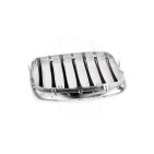 2 Grilles de Radiateur Pour BMW X5 E70 51712150246