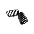 2 Grilles de Radiateur Pour BMW X5 E70 51712150246