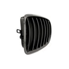 2 Grilles de Radiateur Pour BMW X5 E70 51712150246
