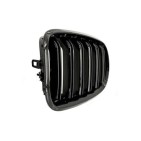 2 Grilles de Radiateur Pour BMW X5 E70 51712150246