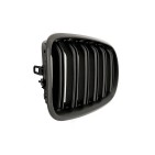 2 Grilles de Radiateur Pour BMW X5 E70 51712150246