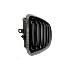2 Grilles de Radiateur Pour BMW X5 E70 51712150246