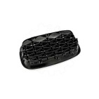 2 Grilles de Radiateur Pour BMW X5 E70 51712150246