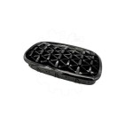 2 Grilles de Radiateur Pour BMW X5 E70 51712150246