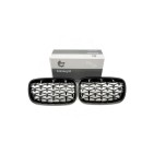 2 Grilles de Radiateur Pour BMW X5 E70 51712150246