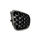 2 Grilles de Radiateur Pour BMW X5 E70 51712150246