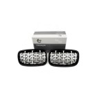 2 Grilles de Radiateur Pour BMW X5 E70 51712150246