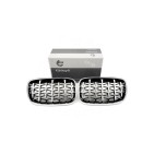 2 Grilles de Radiateur Pour BMW X5 E70 51712150246