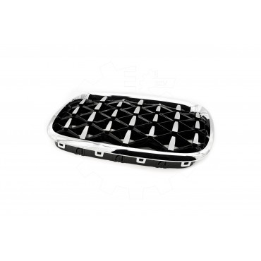 2 Grilles de Radiateur Pour BMW X5 E70 51712150246