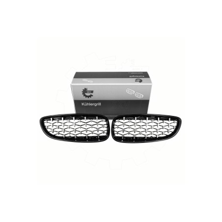2 Grilles de Radiateur Pour BMW Z4 E89 51137191509