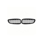 2 Grilles de Radiateur Pour BMW Z4 E89 51137191509