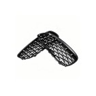 2 Grilles de Radiateur Pour BMW Z4 E89 51137191509