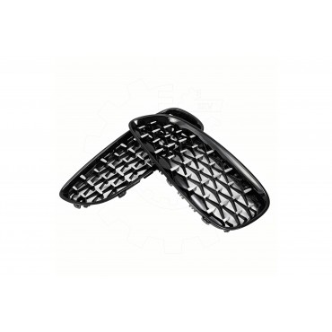 2 Grilles de Radiateur Pour BMW Z4 E89 51137191509