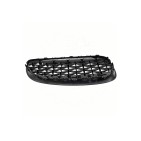 2 Grilles de Radiateur Pour BMW Z4 E89 51137191509