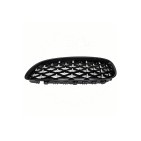 2 Grilles de Radiateur Pour BMW Z4 E89 51137191509