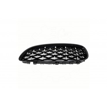 2 Grilles de Radiateur Pour BMW Z4 E89 51137191509
