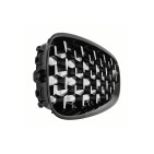 2 Grilles de Radiateur Pour BMW Z4 E89 51137191509