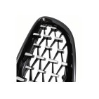 2 Grilles de Radiateur Pour BMW Z4 E89 51137191509